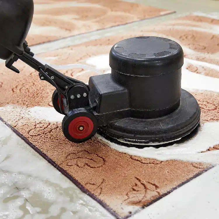 washing rug care in minneapolis