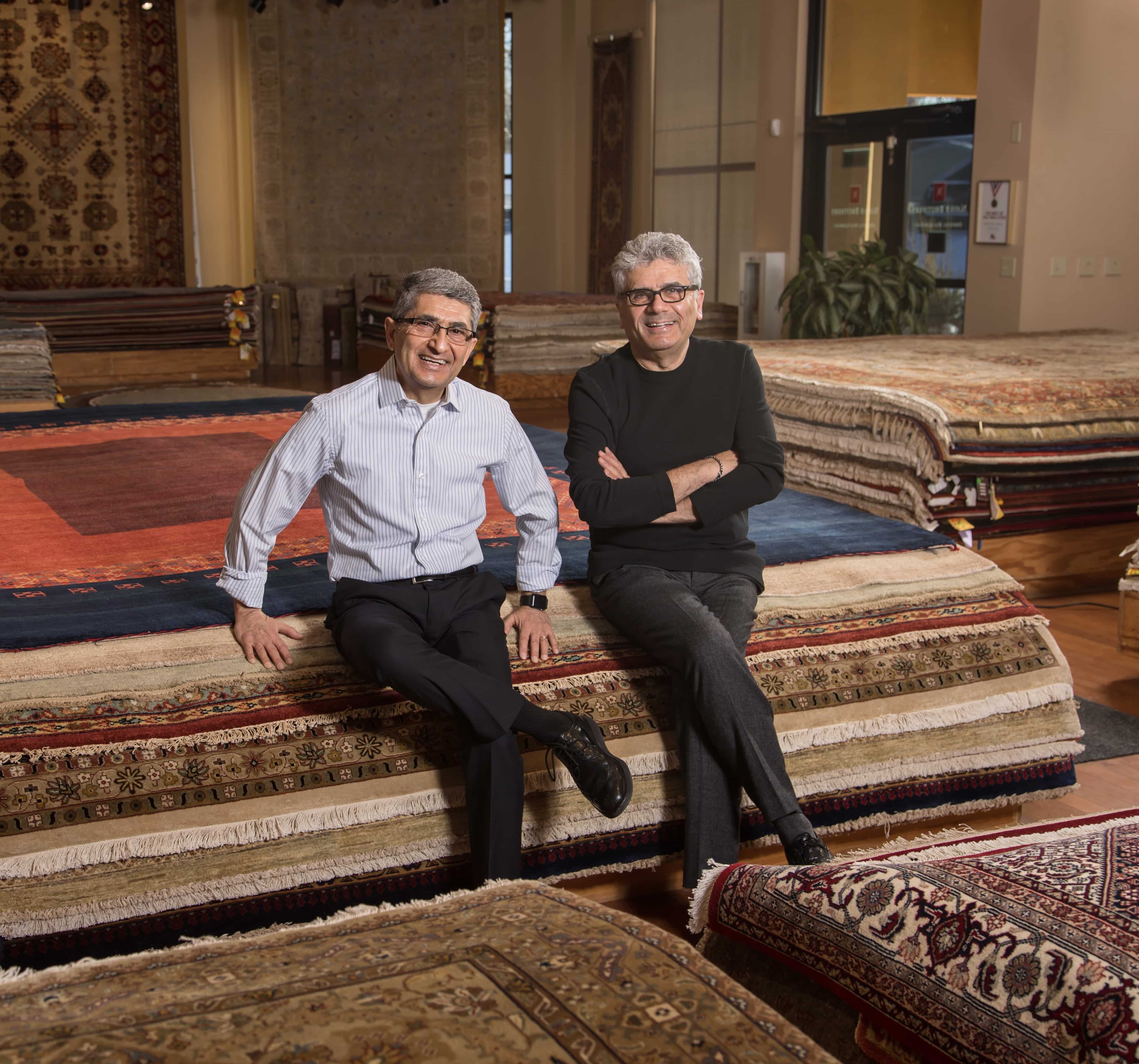 transitional rug sales in minneapolis